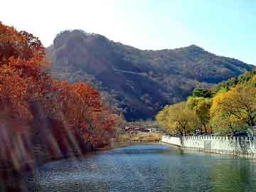 大三巴一肖二码最准，鸽子养殖前景